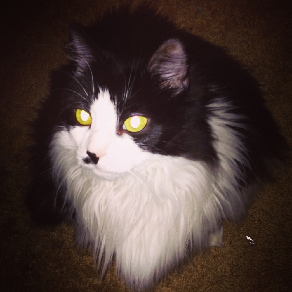 Meet your Posher, Karen